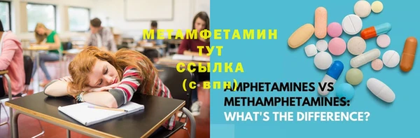 мдпв Ельня