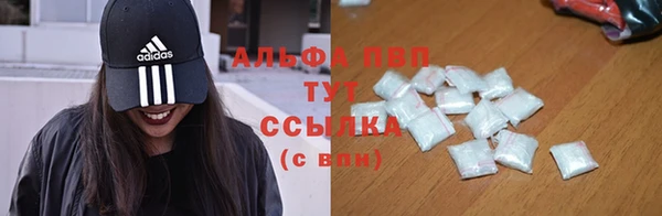 мдпв Ельня