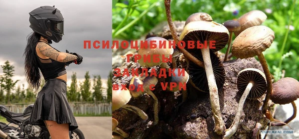 мдпв Ельня