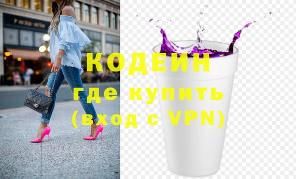 мдпв Ельня