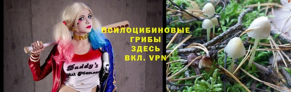 трава Елизово
