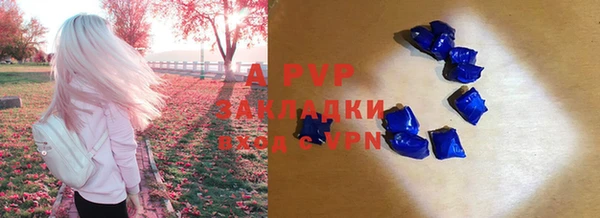 Альфа ПВП Елабуга