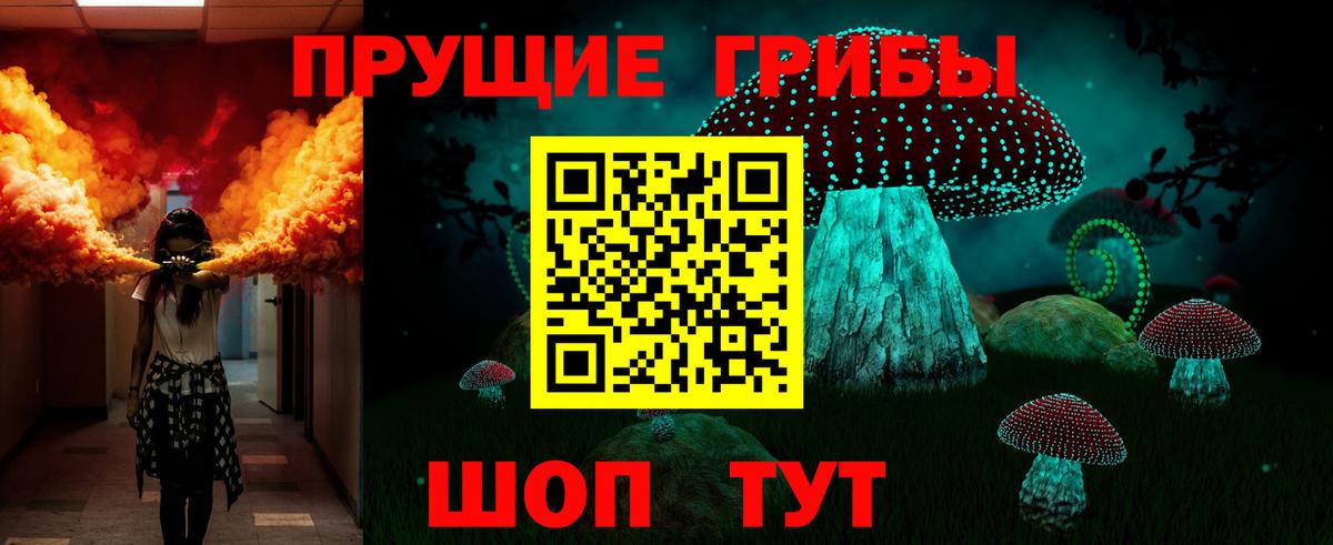 Псилоцибиновые грибы Cubensis  Вход с VPN  хочу наркоту  Зерноград 