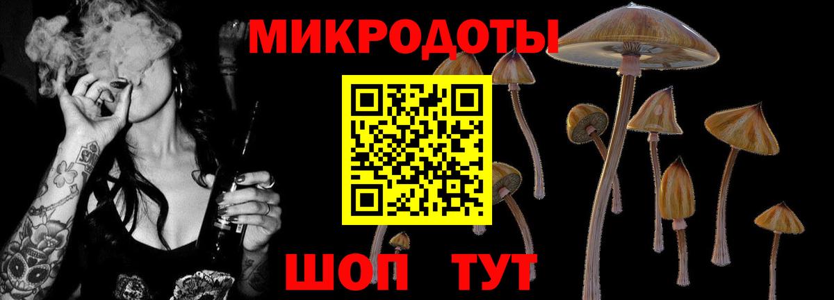 Галлюциногенные грибы мицелий Зерноград